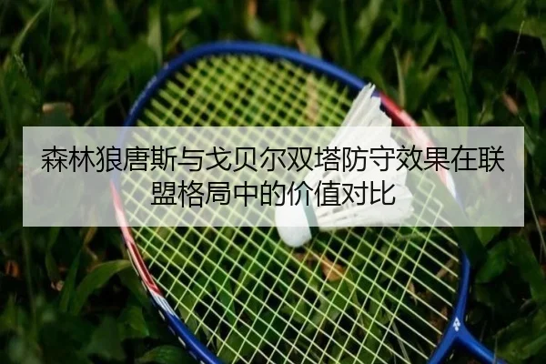 森林狼唐斯与戈贝尔双塔防守效果在联盟格局中的价值对比